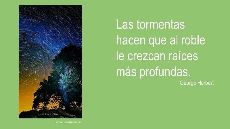 roblefuerte
